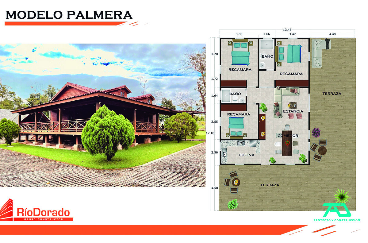 modelo palmera