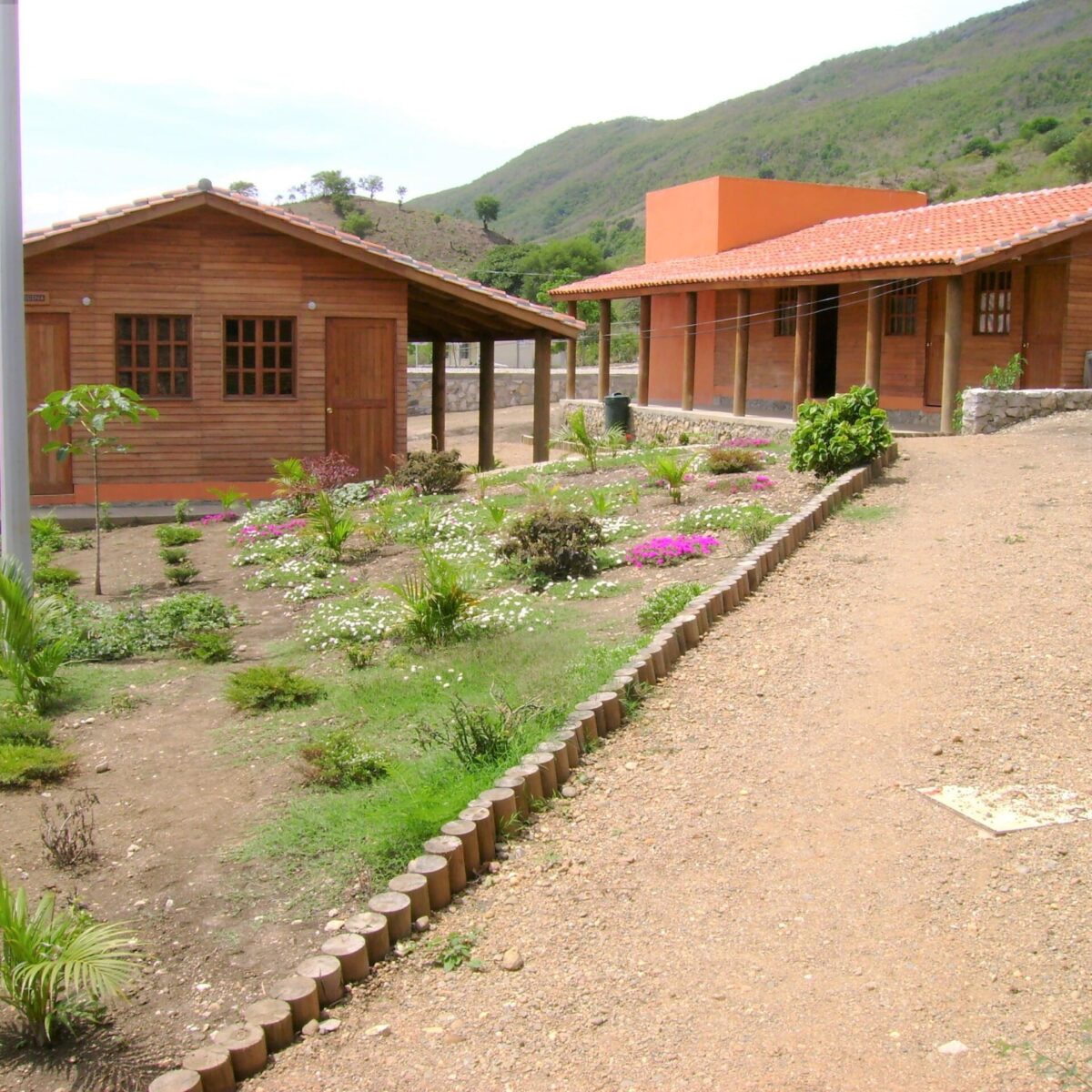 DSC01296