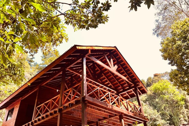 WhatsApp Image 2022-08-12 at 1.17.57 PM